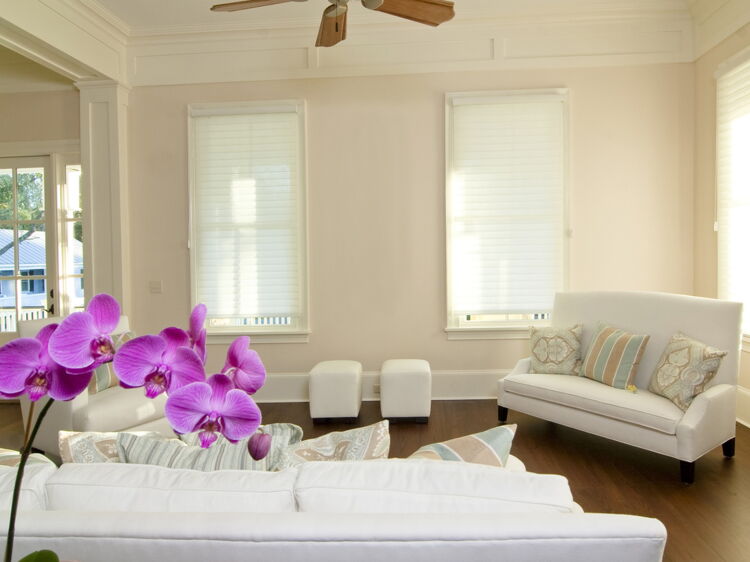 Toutes les solutions pour une maison qui sent bon Femme Actuelle Le MAG