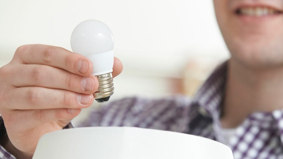 Eco-initiative : distribution de 2 millions d’ampoules LED sur internet