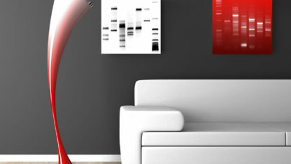 Helys met l'ADN en tableau