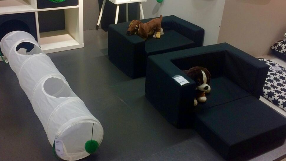 IKEA lance sa nouvelle collection… pour animaux !