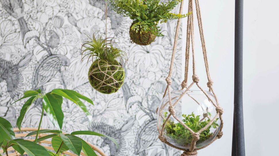 Support mural pour plantes à suspendre de 30,5 cm pour pot de