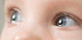 Bébé Quelle Sera La Couleur De Ses Yeux Femme Actuelle