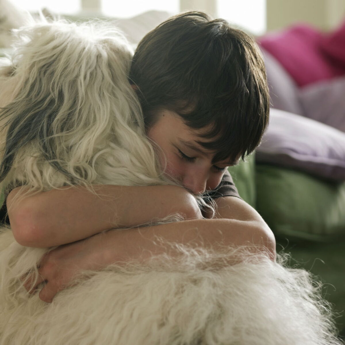 Abandon D Un Animal L Impact Sur L Enfant Femme Actuelle Le Mag