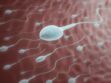 Fertilité : ces aliments qui améliorent la qualité du sperme