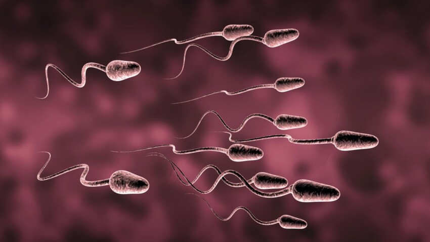 Don d'ovocytes et de spermatozoïdes : vous aussi vous pouvez sûrement donner !