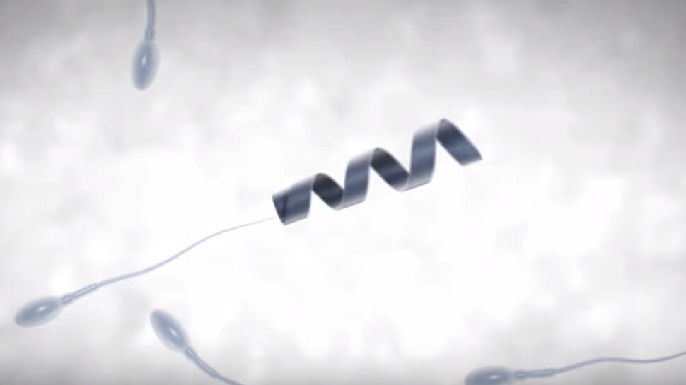 Infertilité masculine : un robot pour booster les spermatozoïdes