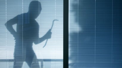 Les cambrioleurs ont-ils mangé le placenta de cette maman ?