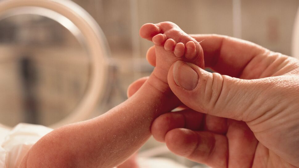 26% des maternités tardives sont des premières naissances