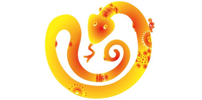Horoscope chinois 2017 du Serpent : les prévisions de Marc Angel
