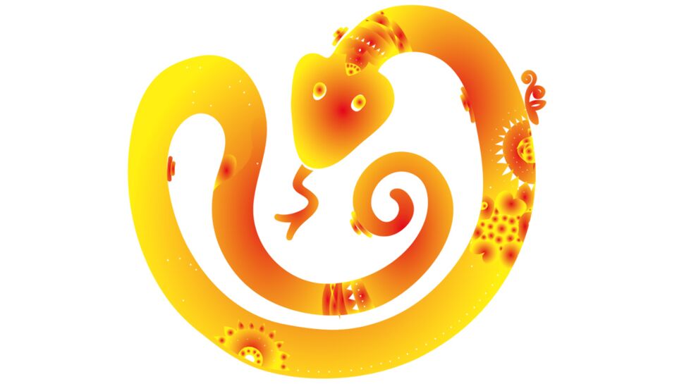 Horoscope chinois 2017 du Serpent : les prévisions de Marc Angel