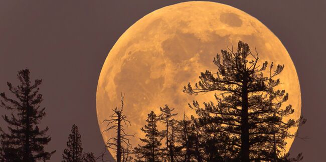 Super Lune bleue de sang mercredi : les explications de notre astrologue