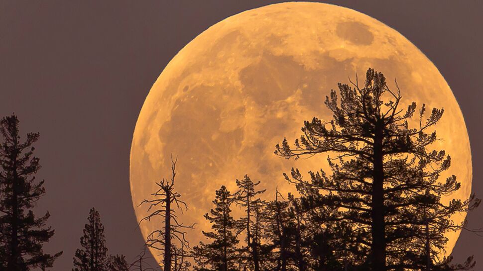 Super Lune bleue de sang mercredi : les explications de notre astrologue