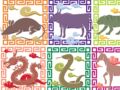 Horoscope chinois : découvrez votre signe astrologique et son histoire en vidéo