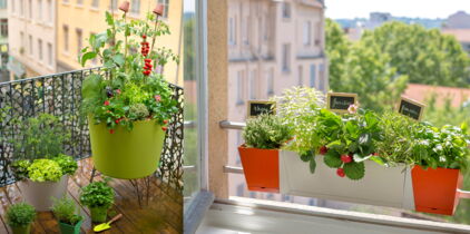 Comment composer une jardinière gourmande ?