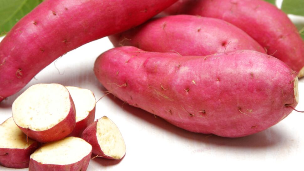 Comment cultiver la patate douce ?