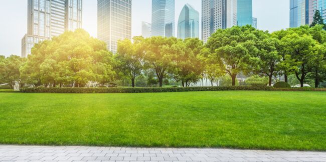 Espaces verts : la solution anti-pollution et canicule en ville