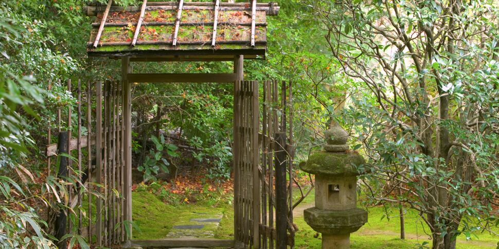 Jardin japonais : quelles plantes et comment l'aménager ?