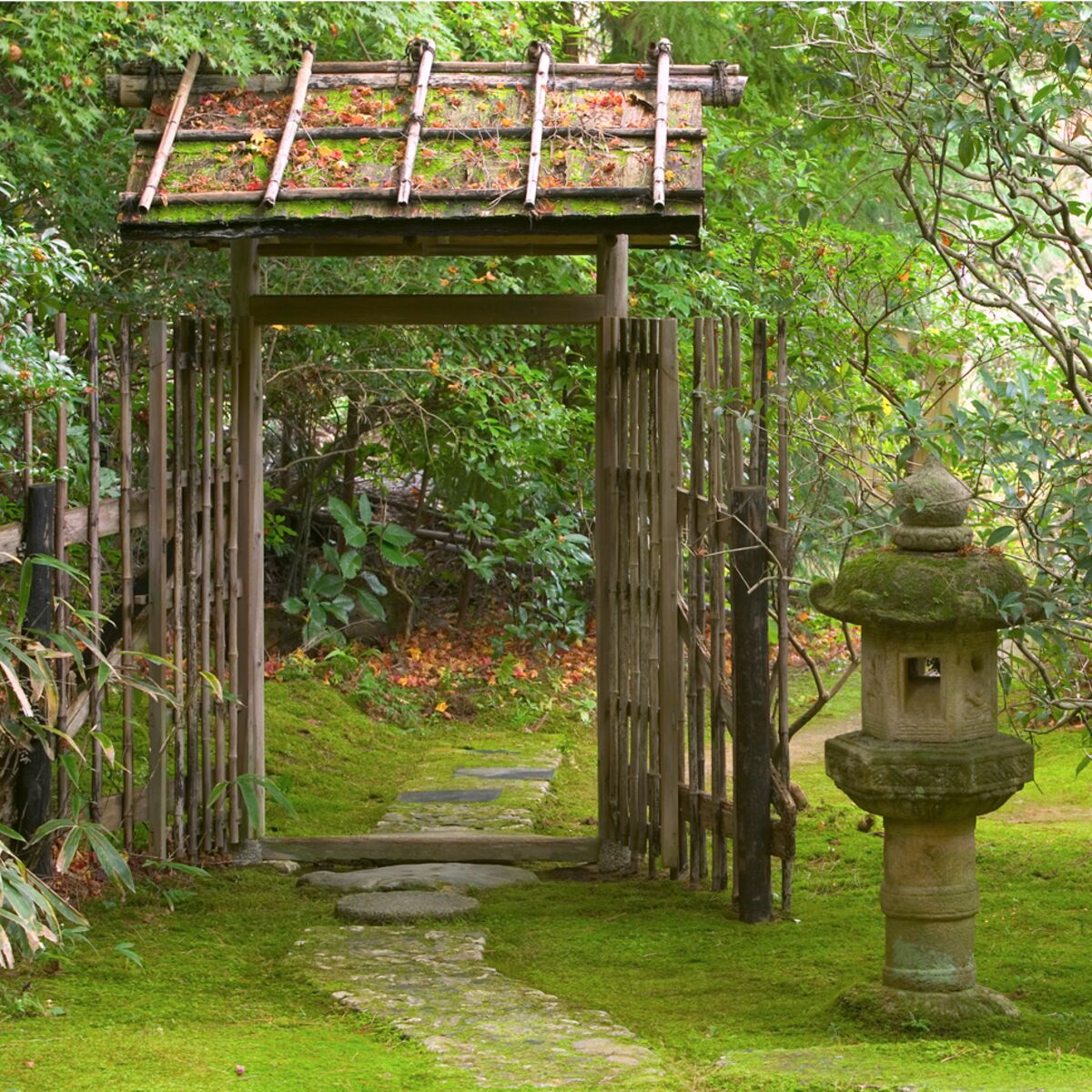 Pas japonais - Aménagement de jardin japonais