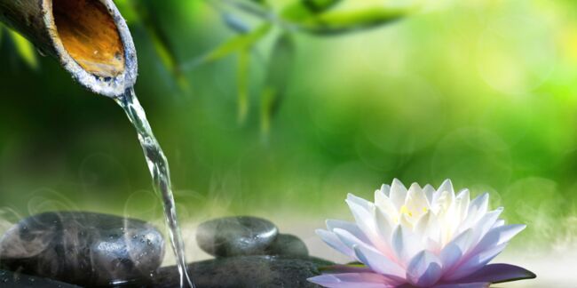 5 idées pour faire un jardin zen