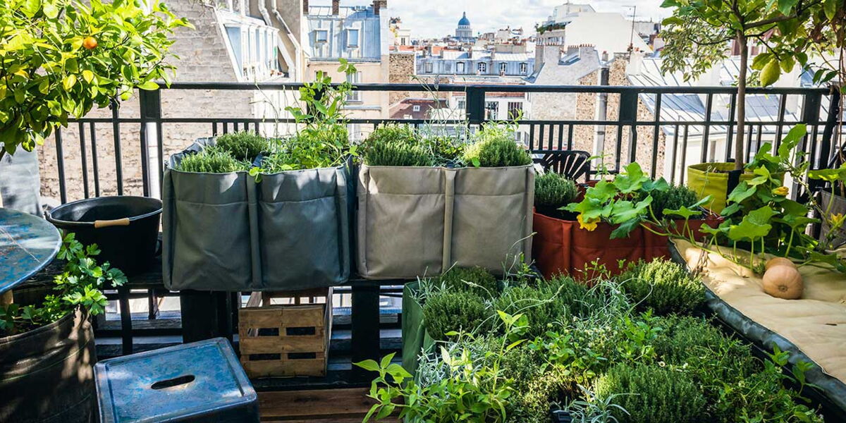 Balcon Terrasse Jardin Comment Faire Un Potager Femme Actuelle Le Mag