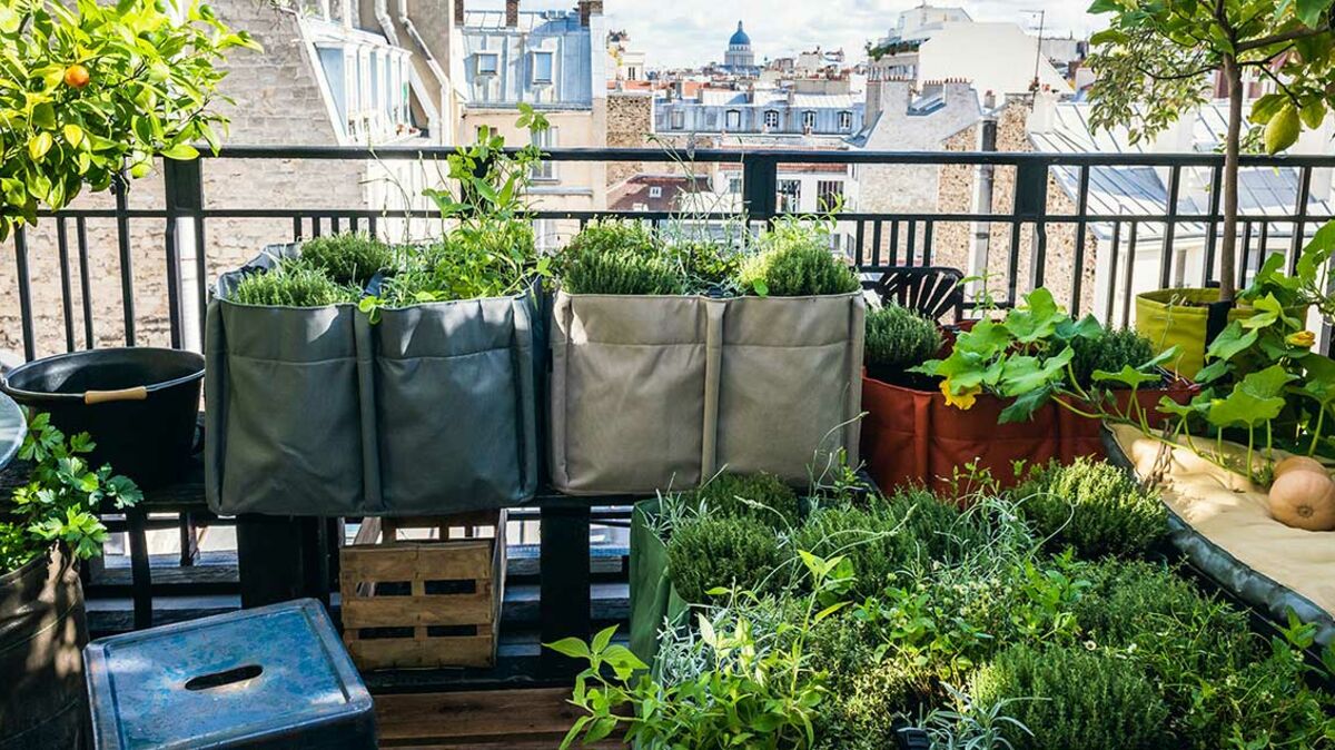 Balcon Terrasse Jardin Comment Faire Un Potager Femme Actuelle Le Mag