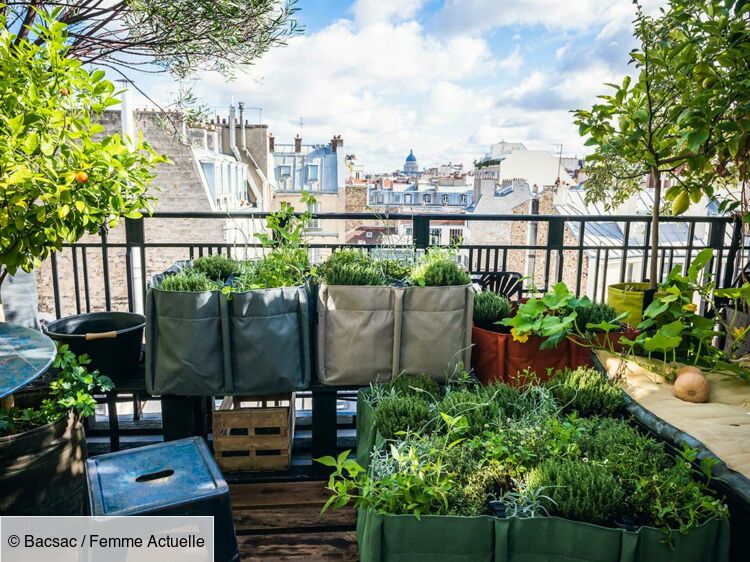 Balcon Terrasse Jardin Comment Faire Un Potager Femme Actuelle Le Mag