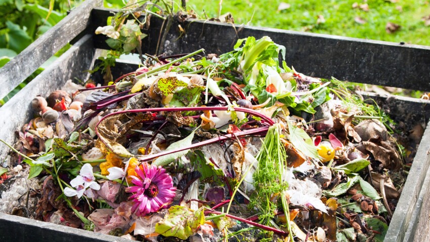 Comment faire du compost ? : Femme Actuelle Le MAG