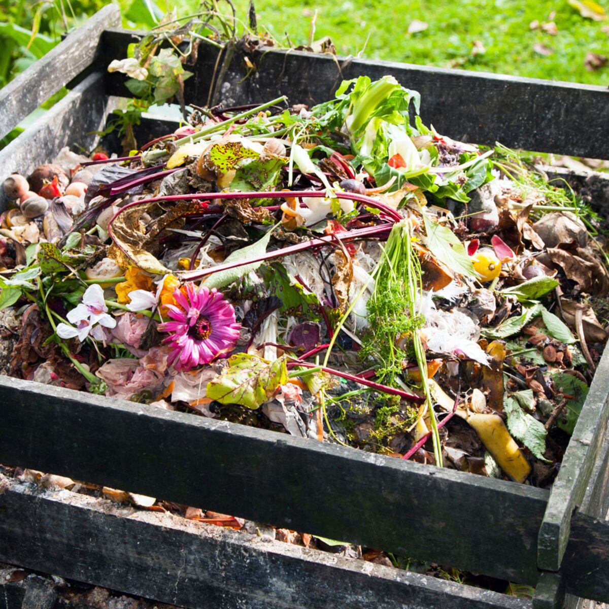 Compostage : comment recycler les déchets organiques - Elle Décoration