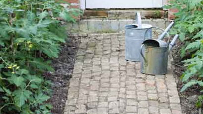 jardin en lasagnes comment cultiver facilement femme actuelle le mag