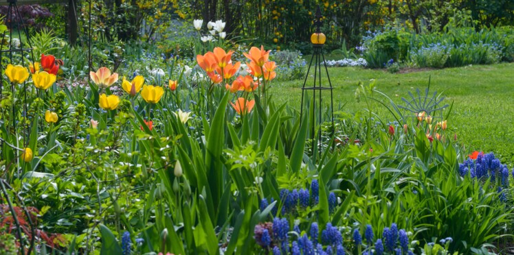 travaux jardin mars travaux jardin mars