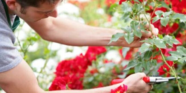 Ateliers de jardinage gratuits : on s'inscrit