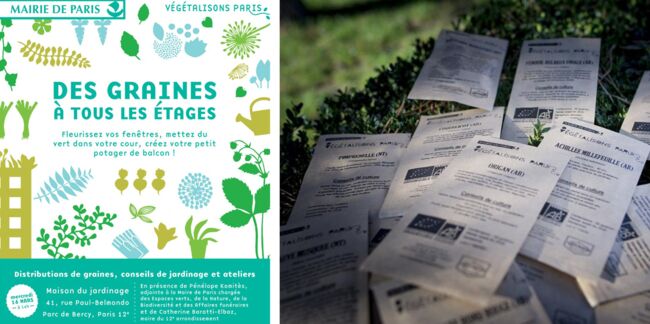 Bon plan : des graines et des plantes distribuées par la Mairie de Paris