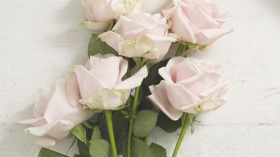 Les roses : le cadeau préféré des Français pour la Fête des mères
