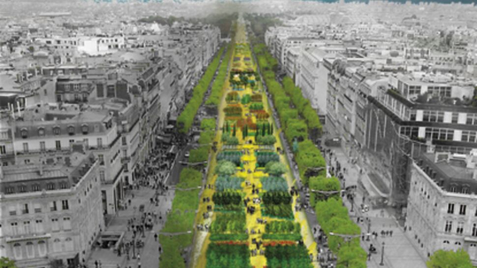 Les Champs-Elysées en fleur ce week-end