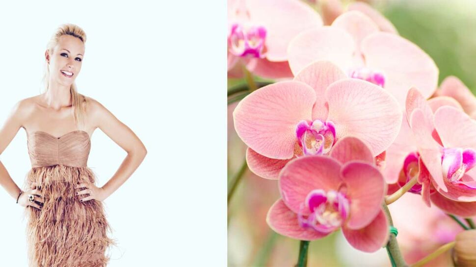 Elodie Gossuin, nouvelle ambassadrice française des orchidées