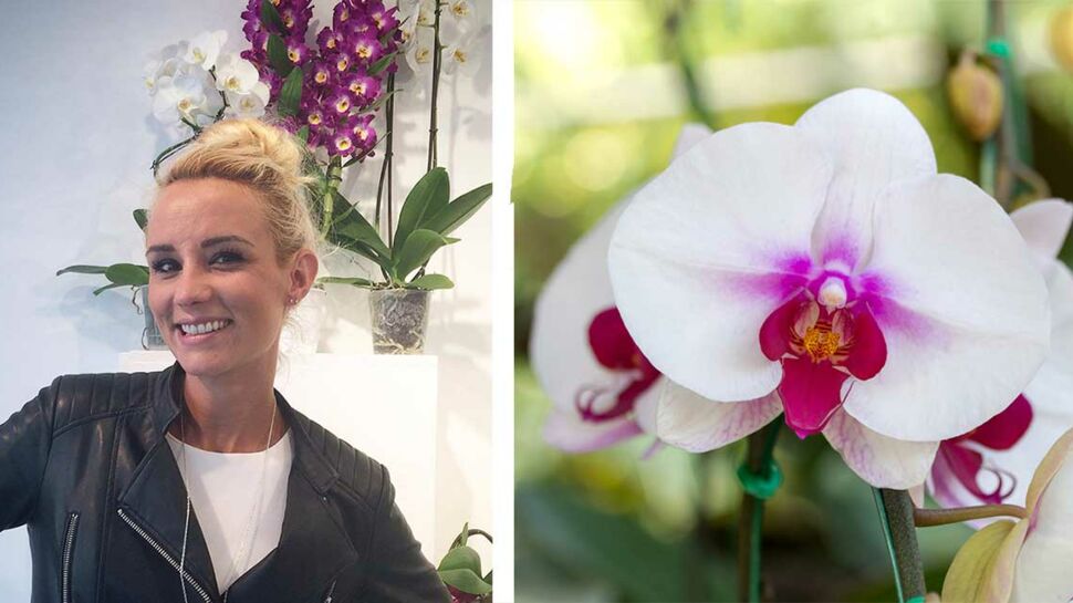 Elodie Gossuin : « L’orchidée est la Miss Univers des plantes »