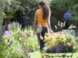 Jardinage : le ministère de l'Ecologie lance un petit guide