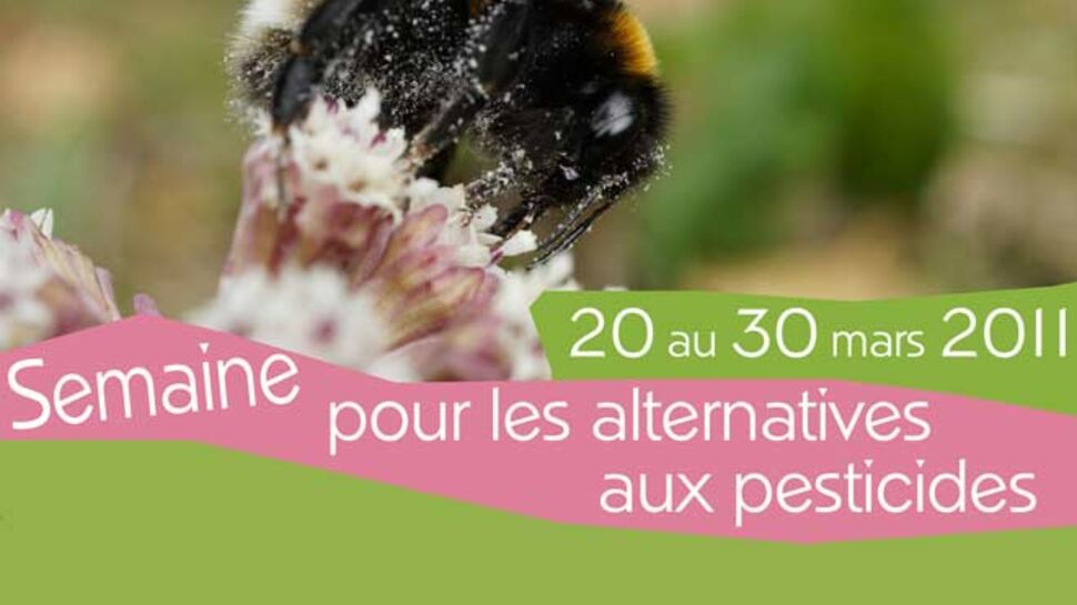 La France apprend à vivre sans pesticides