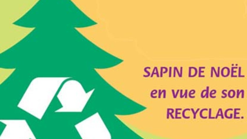 Sapins De Noel Les Magasins Ikea Et La Mairie De Paris Les Recuperent Femme Actuelle Le Mag