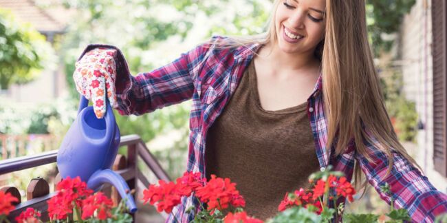 5 astuces pour protéger de la chaleur ses plantes d’intérieur ou au balcon