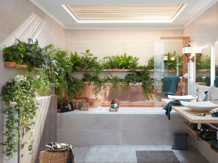 Quelles plantes choisir pour ma salle de bain ? : Femme Actuelle Le MAG