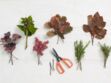 Compositions florales d’automne-hiver : 7 tutos faciles à faire