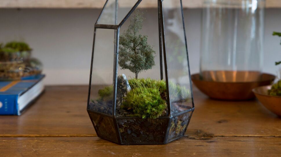 DIY : Un terrarium à faire soi-même