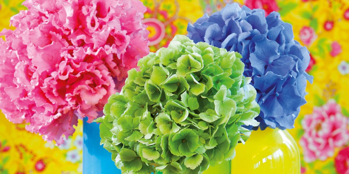 L'hortensia : 15 idées de bouquets : Femme Actuelle Le MAG