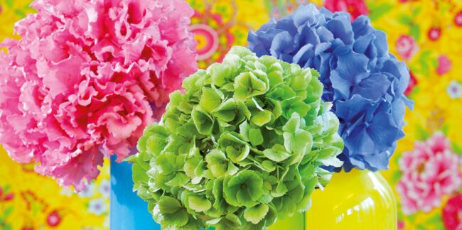L’hortensia : 15 idées de bouquets