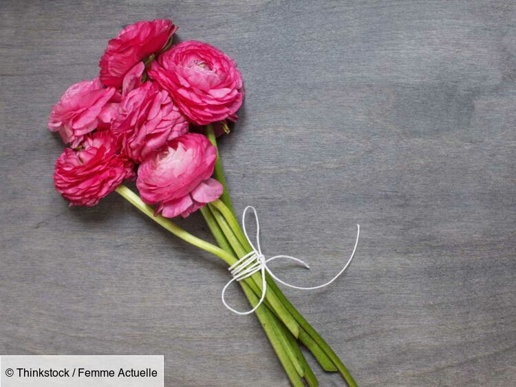 Les Secrets Du Langage Des Fleurs Femme Actuelle Le Mag