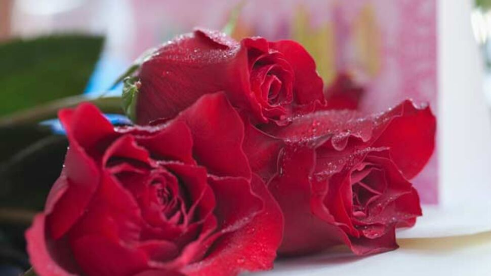Saint-Valentin : dites-le avec des fleurs !