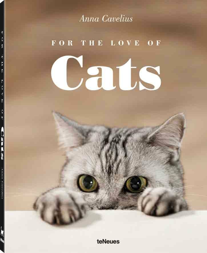 Le Livre Sur Les Chats Qui Va Vous Faire Craquer Femme Actuelle Le Mag