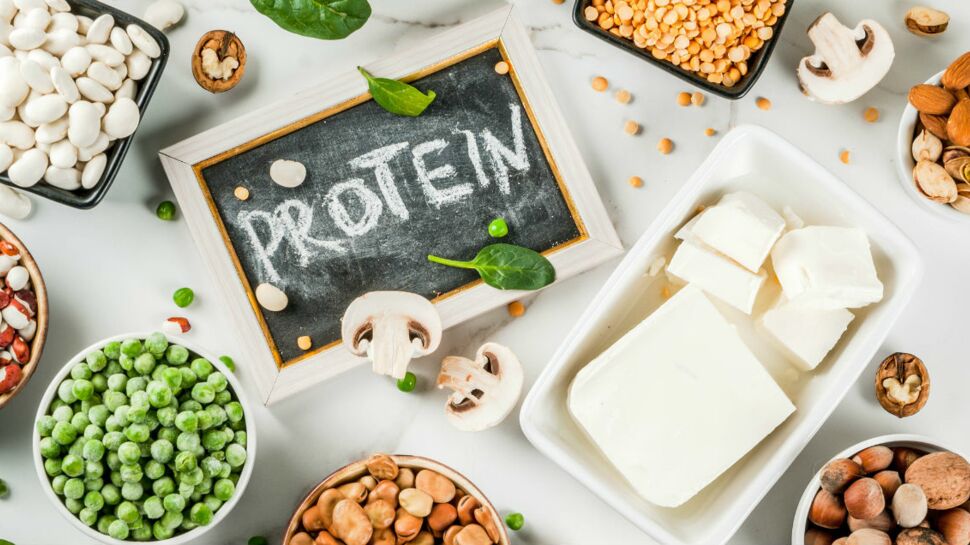 Quels sont les aliments les plus riches en protéines ?