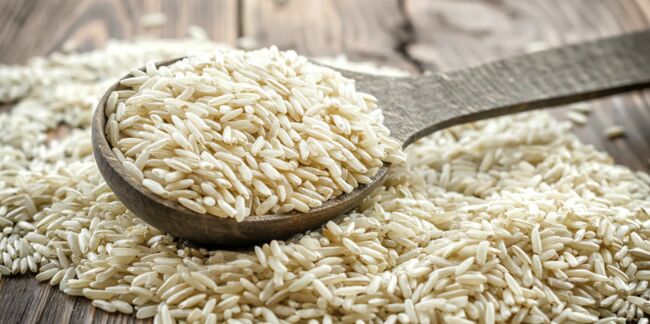 Tout savoir sur le régime riz